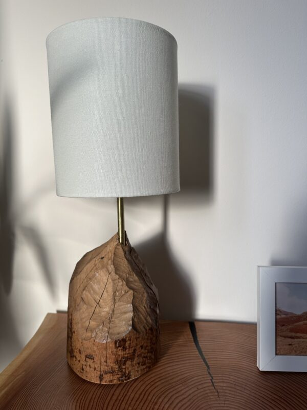 Real Scottish Beaver Stump Table Lamps - Image 8