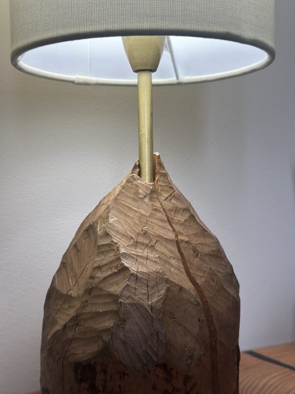 Real Scottish Beaver Stump Table Lamps - Image 3