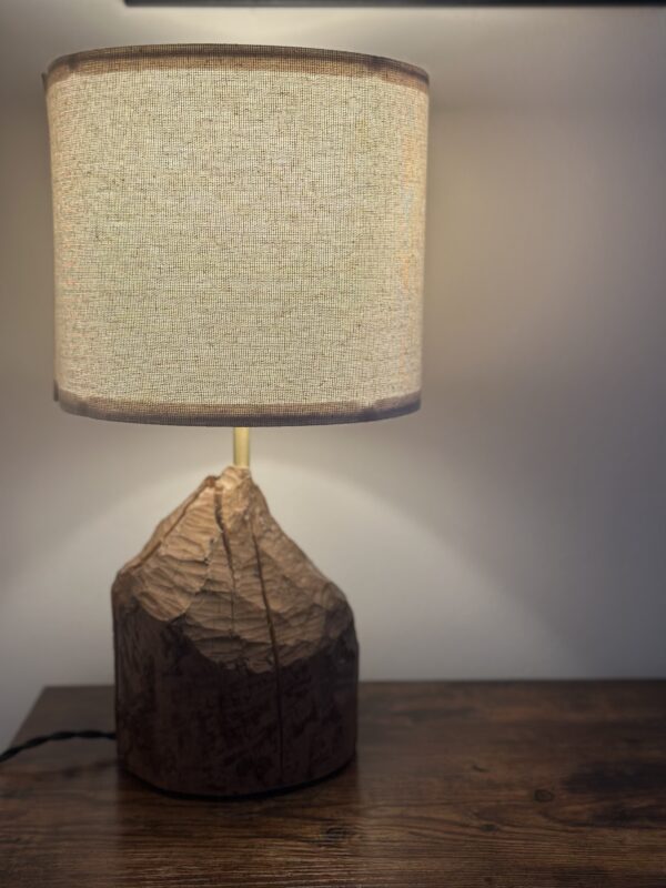 Real Scottish Beaver Stump Table Lamps