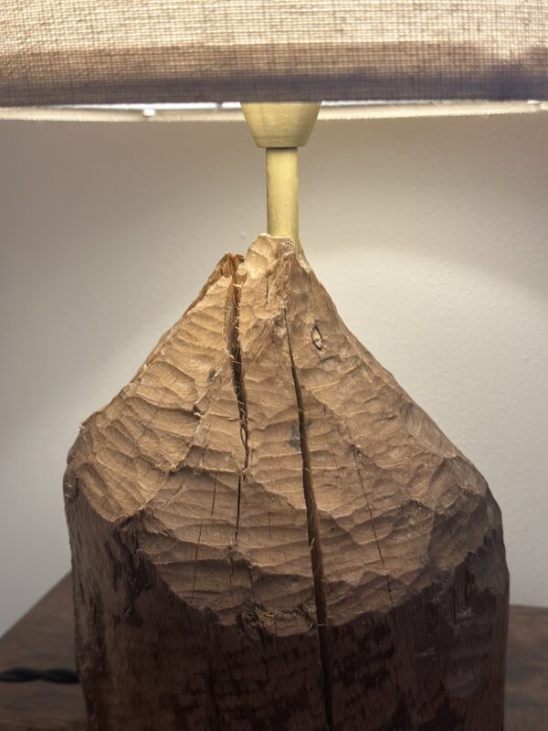 Real Scottish Beaver Stump Table Lamps - Image 5