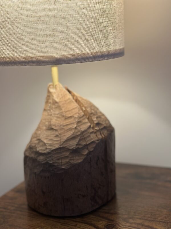 Real Scottish Beaver Stump Table Lamps - Image 6