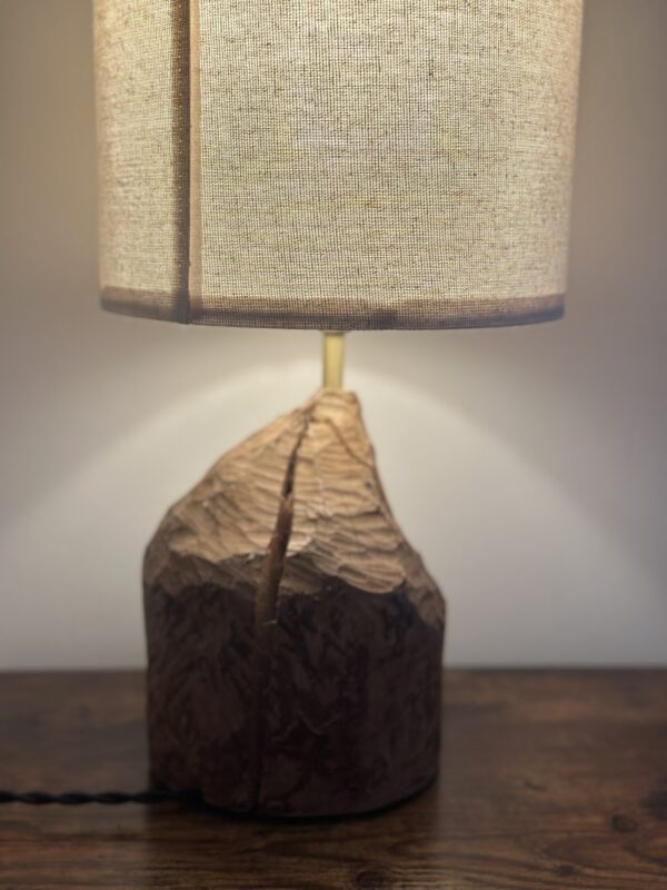 Real Scottish Beaver Stump Table Lamps - Image 7